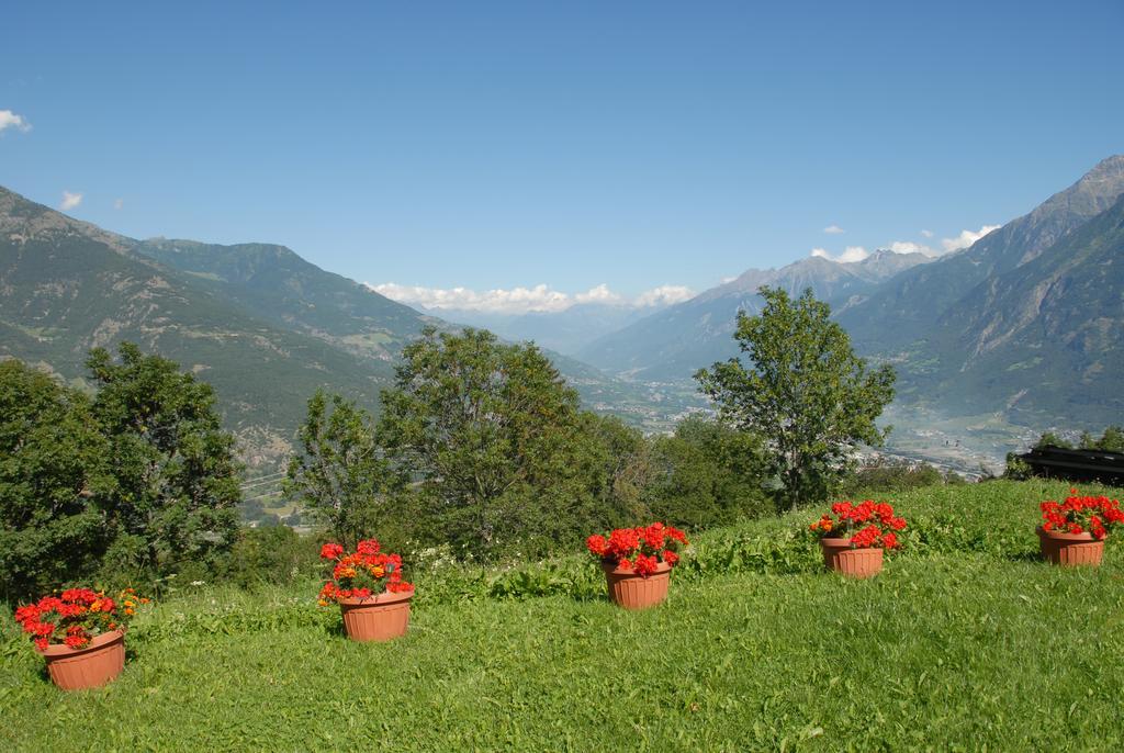 Agriturismo Plan D'Avie 아오스타 외부 사진