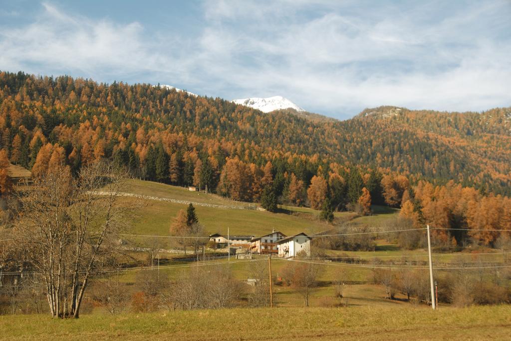Agriturismo Plan D'Avie 아오스타 외부 사진