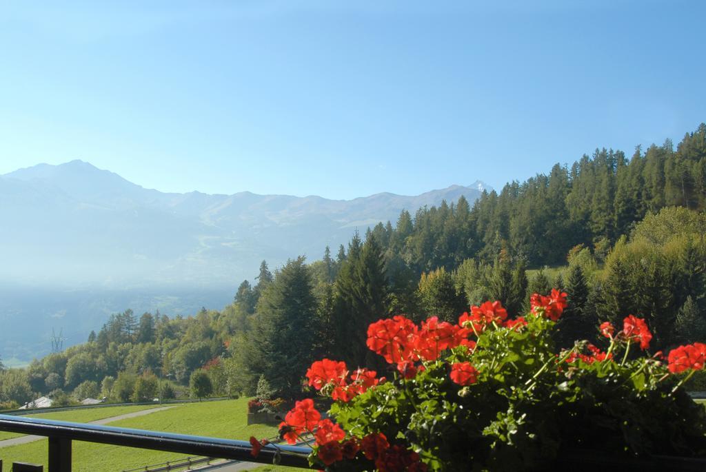 Agriturismo Plan D'Avie 아오스타 객실 사진