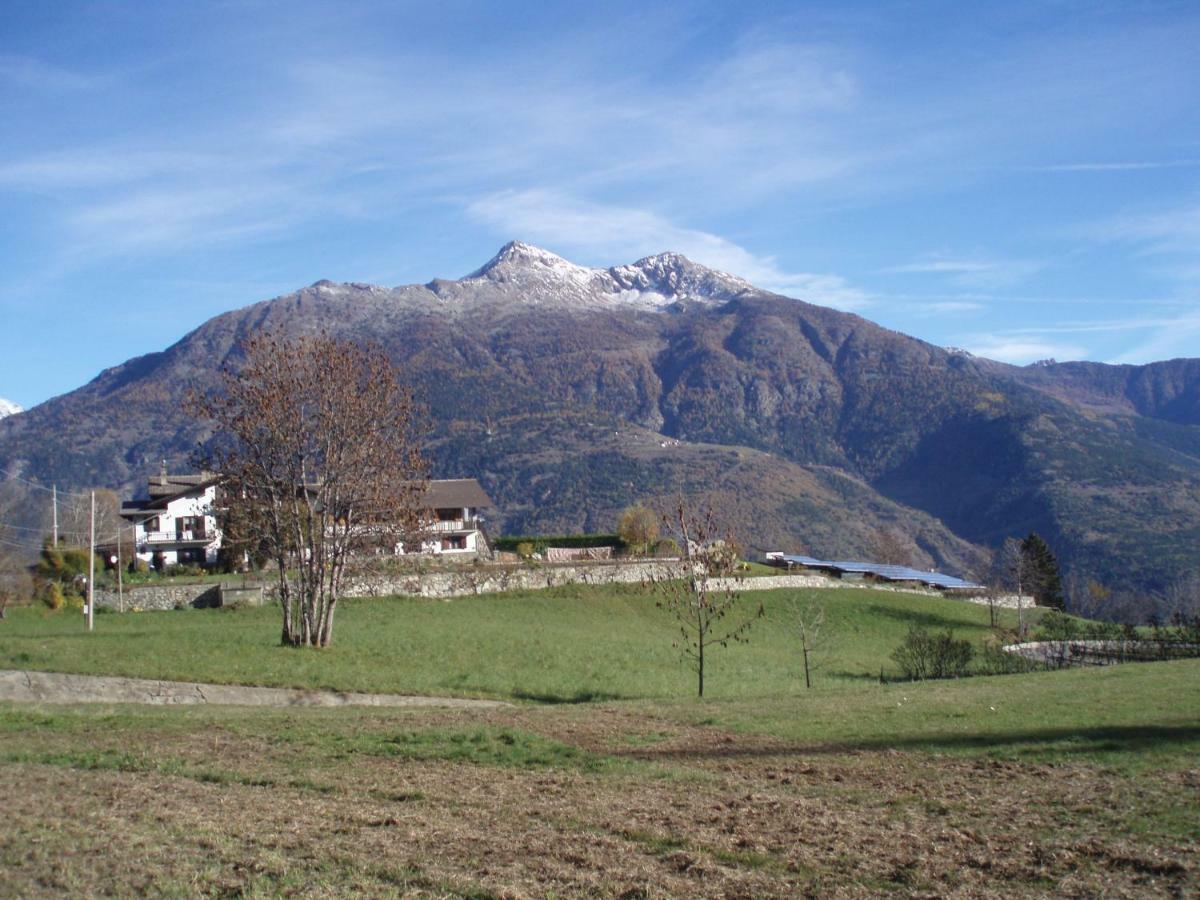 Agriturismo Plan D'Avie 아오스타 외부 사진