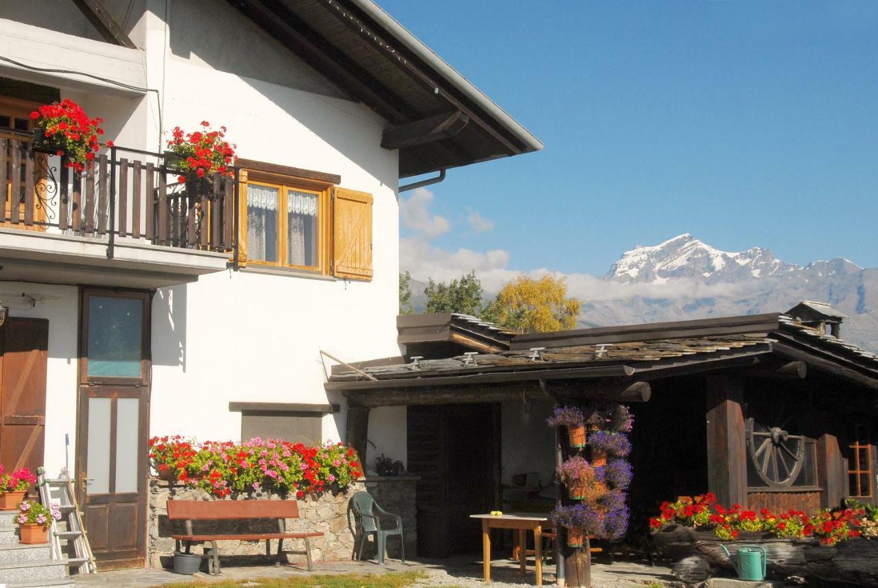 Agriturismo Plan D'Avie 아오스타 외부 사진